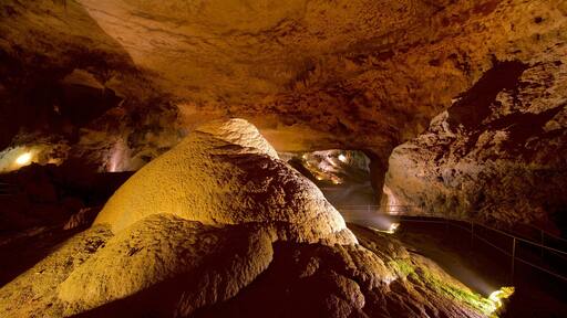 Parque de las Cavernas del Rio Camuy