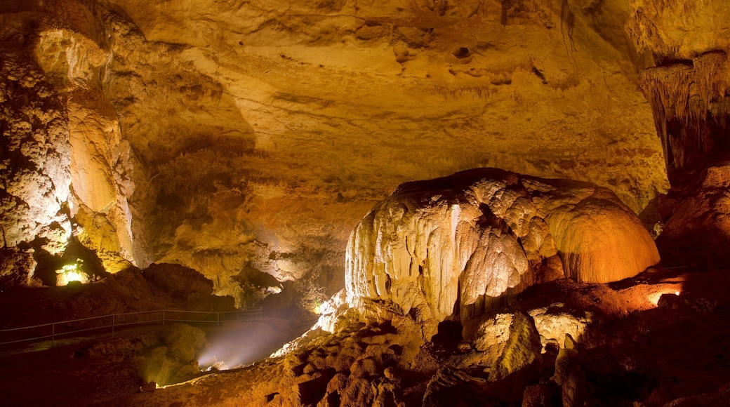 Camuy River Cave Park showing interior views and caves