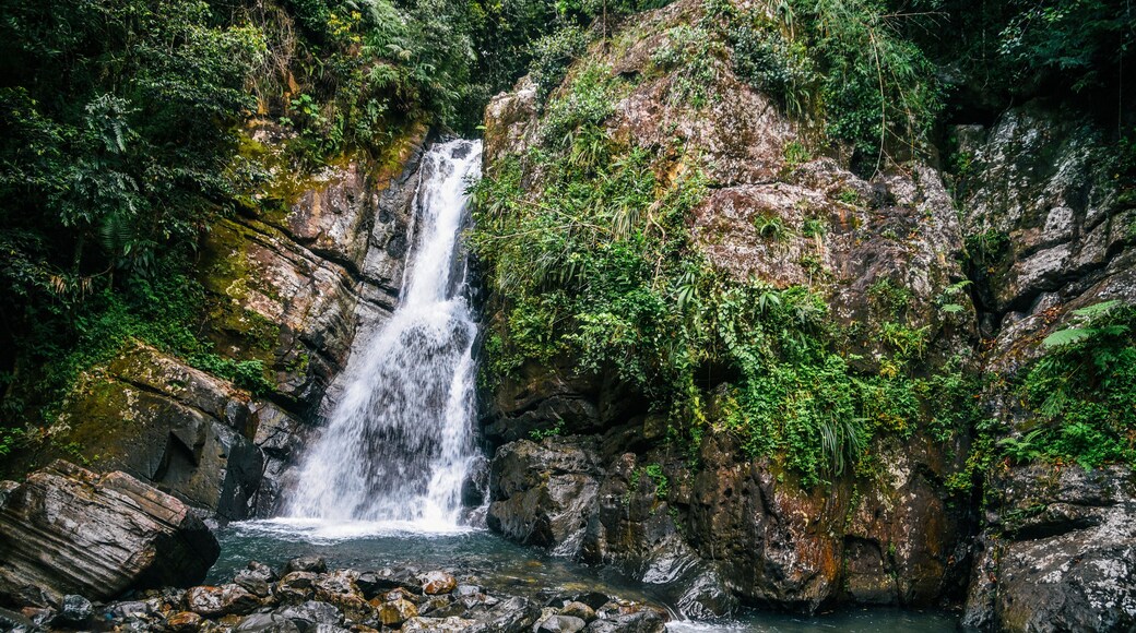 La Mina Falls in El Yunque National Forest in Puerto Rico