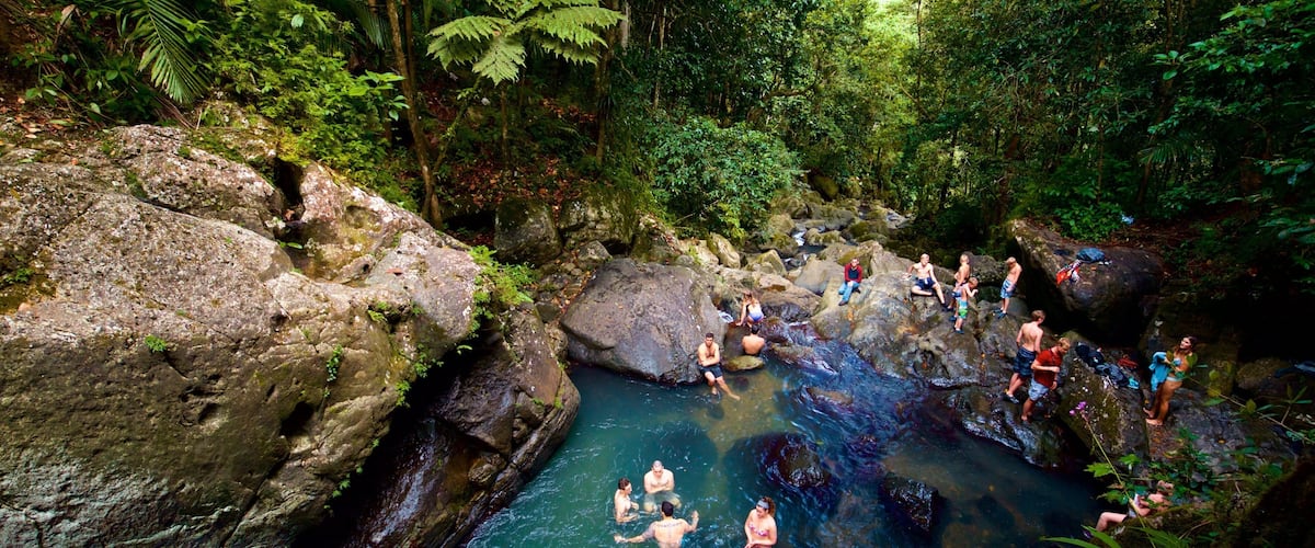 A group of people swimming in a clear, rocky stream surrounded by lush greenery.