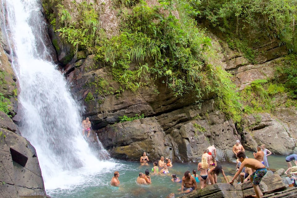 Ein Wasserfall stürzt in ein felsiges Becken, umgeben von üppiger Vegetation.
