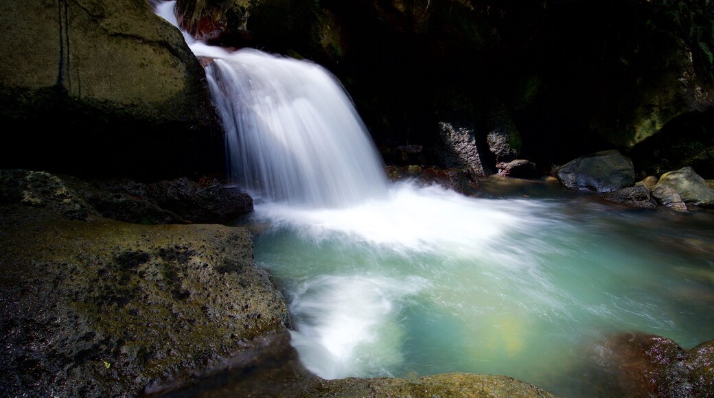 La Mina Falls showing a waterfall
