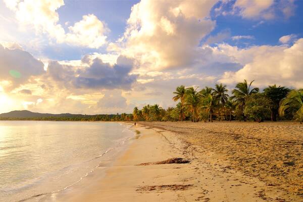 Ein Strand mit Palmen und ruhiger See unter einer teils bewölkten Himmel.