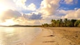 A beach with palm trees and a calm sea under a partly cloudy sky.