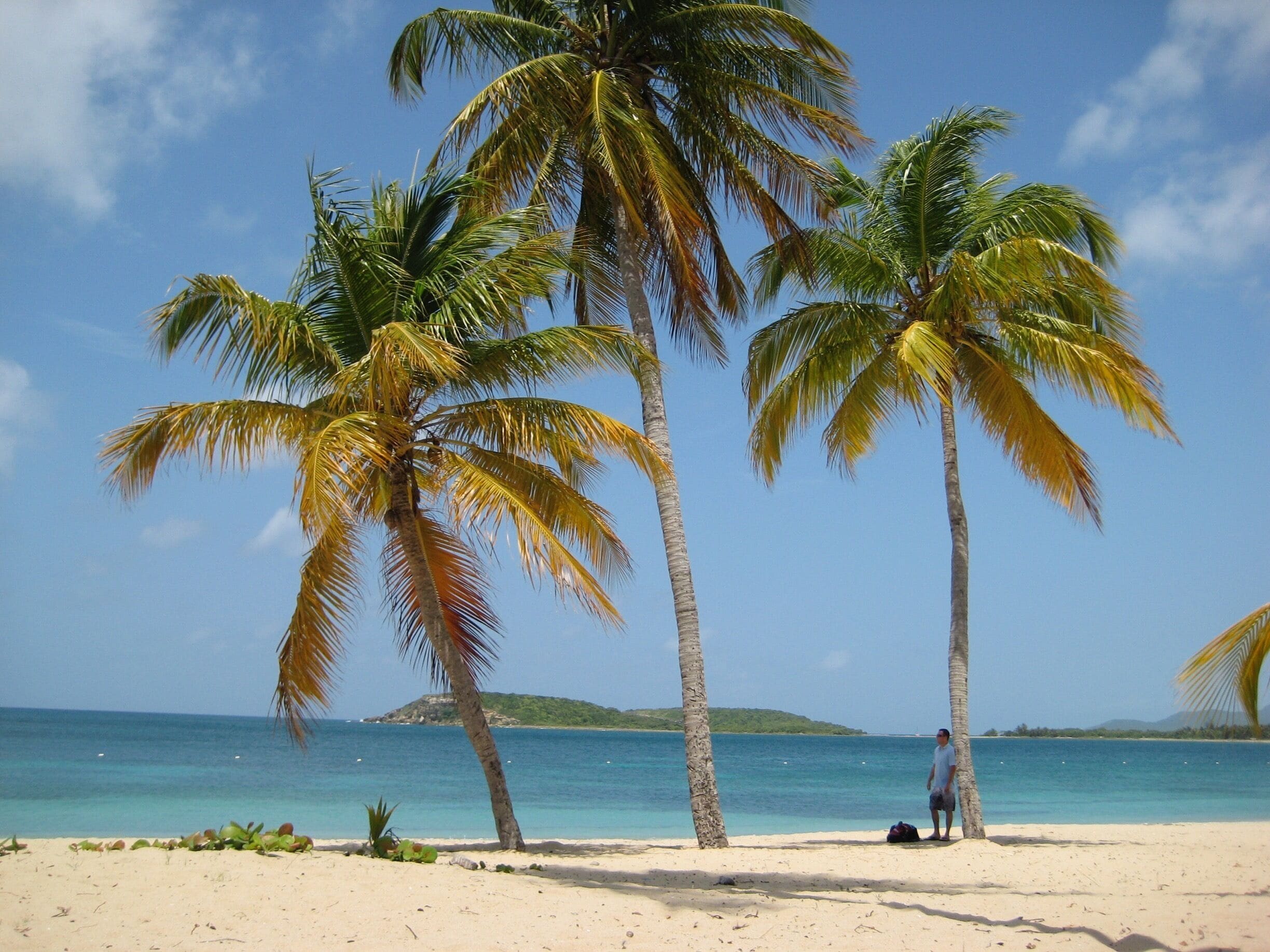 Discovering this beautiful secluded beach on the island of Vieques was like hitting the honeymoon- jackpot. Sun Bay Beach was the perfect spot to sit back, relax, and soak in the sun. (Probably a little too much sun, so don’t forget your sunscreen!) We will definitely be back! #BeachTips