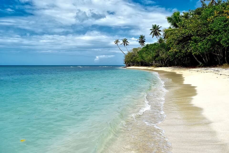 A beach with clear turquoise water, white sand, and lush green vegetation.