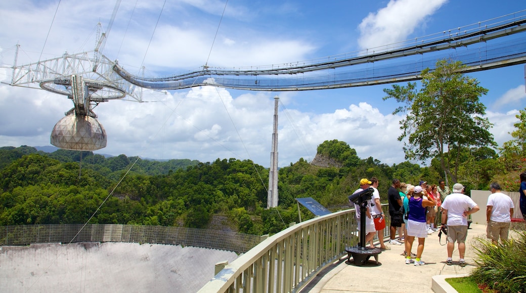 Arecibo Observatory showing an observatory and views as well as a large group of people