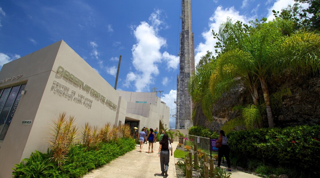 阿雷西沃天文台