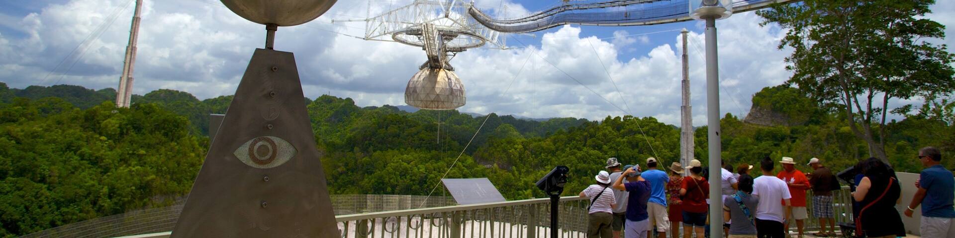 Arecibo Observatory which includes an observatory and forest scenes