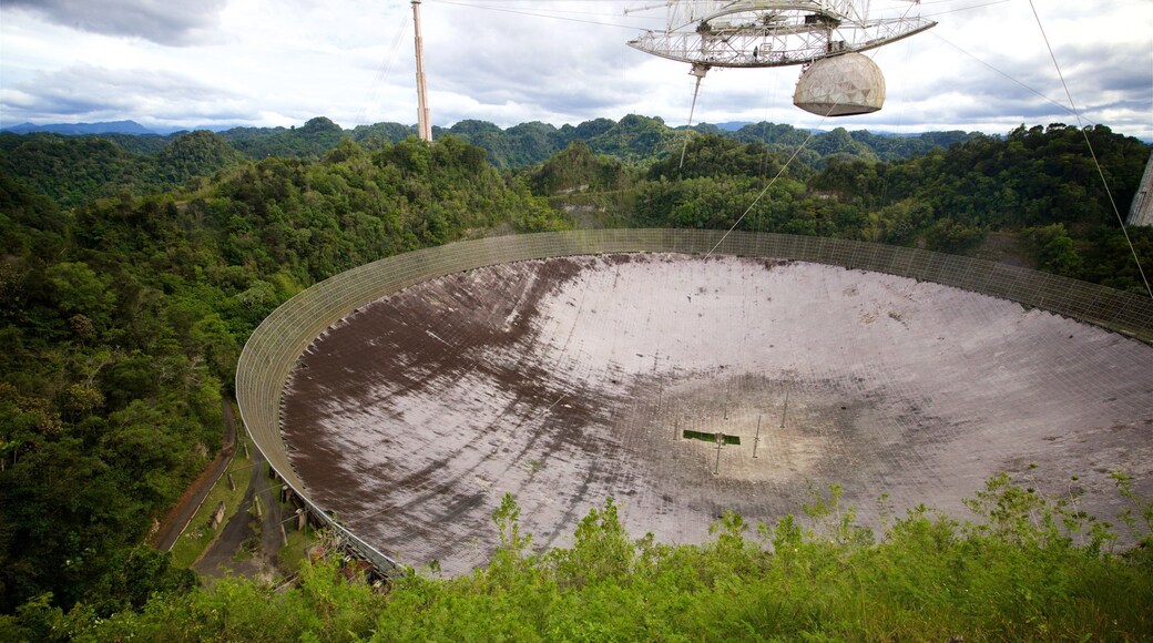 阿雷西沃天文台