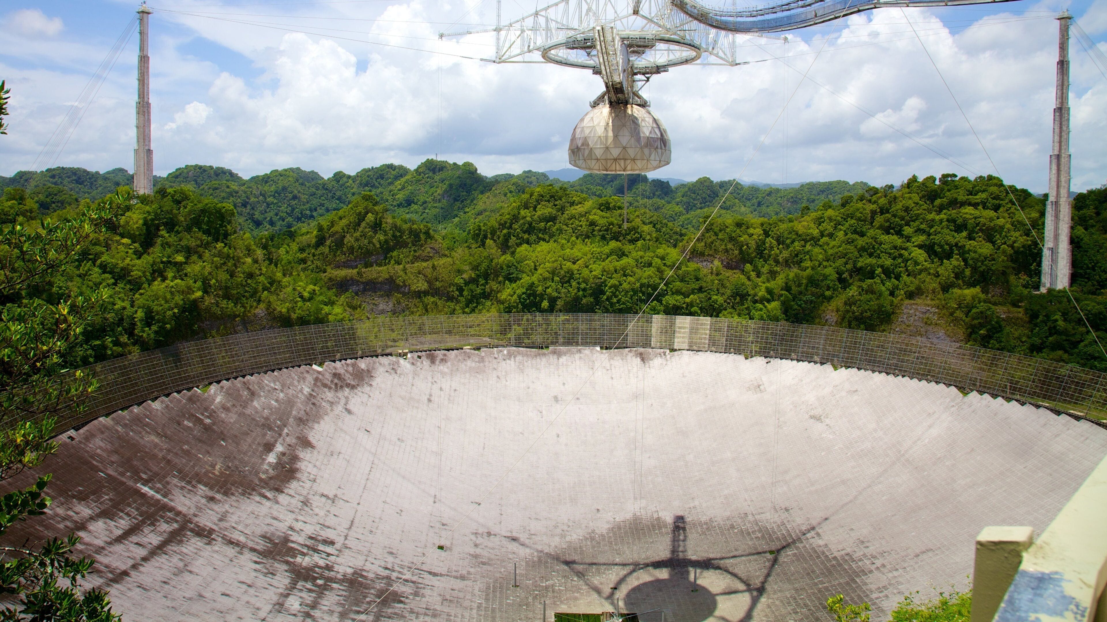 Arecibo Observatory showing forest scenes and an observatory