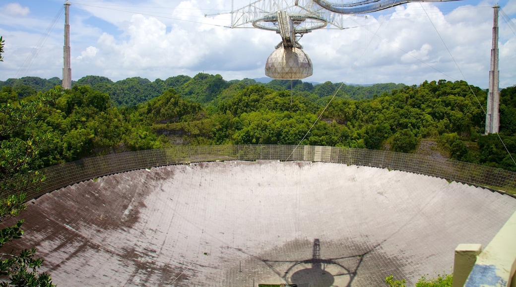 阿雷西波天文台 其中包括 森林風景 和 天文台