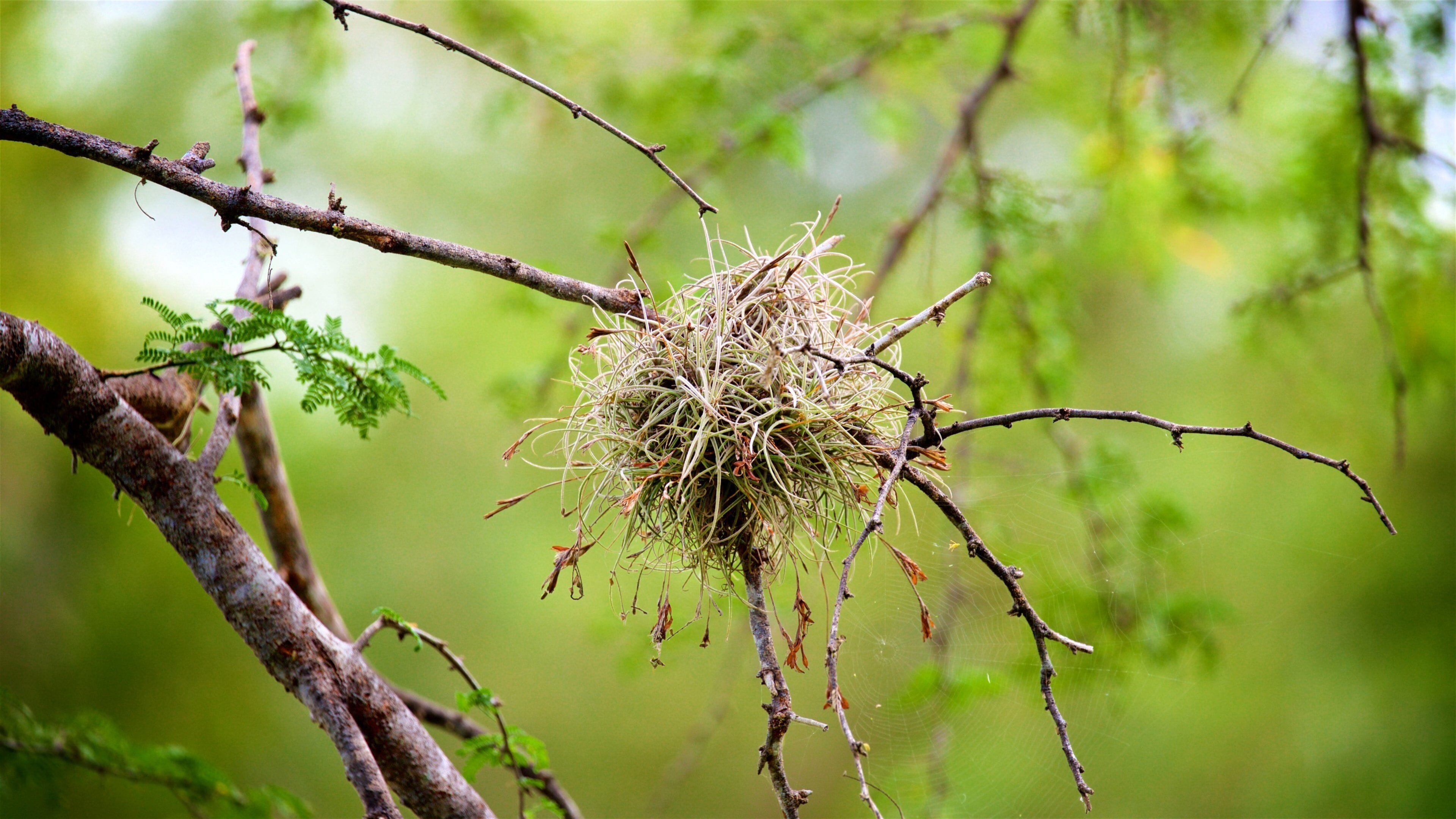 Cabo Rojo National Wildlife Refuge