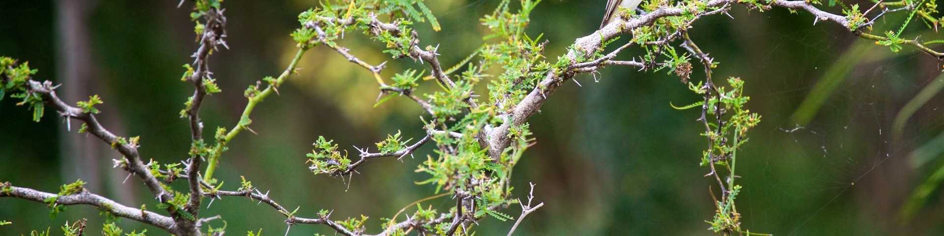 Cabo Rojo National Wildlife Refuge
