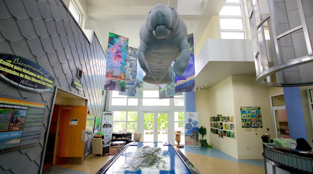 Cabo Rojo National Wildlife Refuge