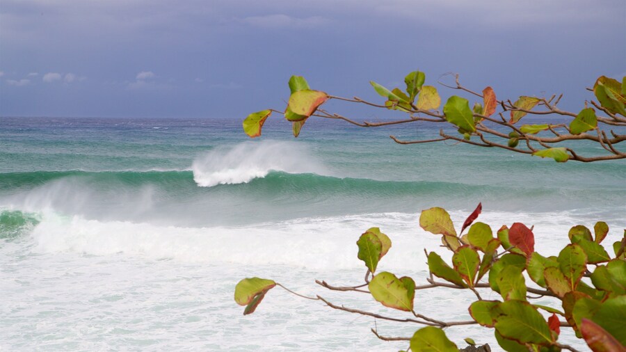 Punta Higuero Light showing waves and general coastal views