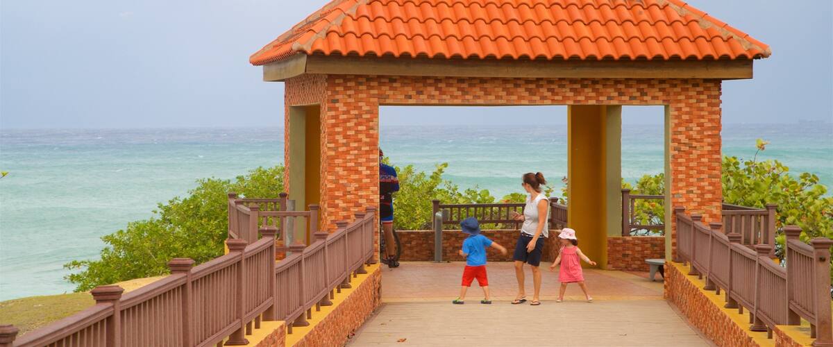 Punta Higuero Light showing views and general coastal views as well as a family