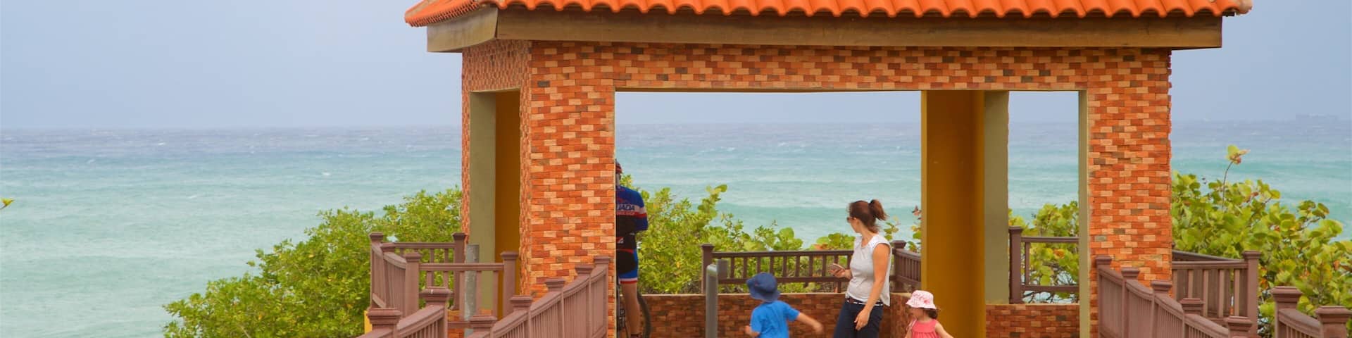 Punta Higuero Light showing views and general coastal views as well as a family