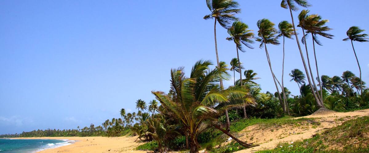Puerto Rico mit einem tropische Szenerien und Sandstrand