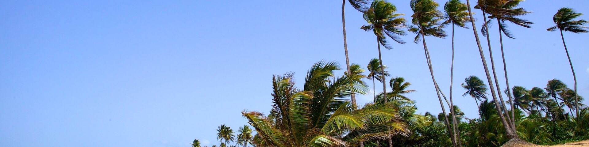 Puerto Rico mit einem tropische Szenerien und Sandstrand