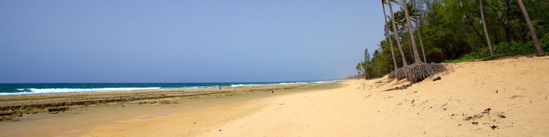 Puerto Rico featuring a beach and tropical scenes