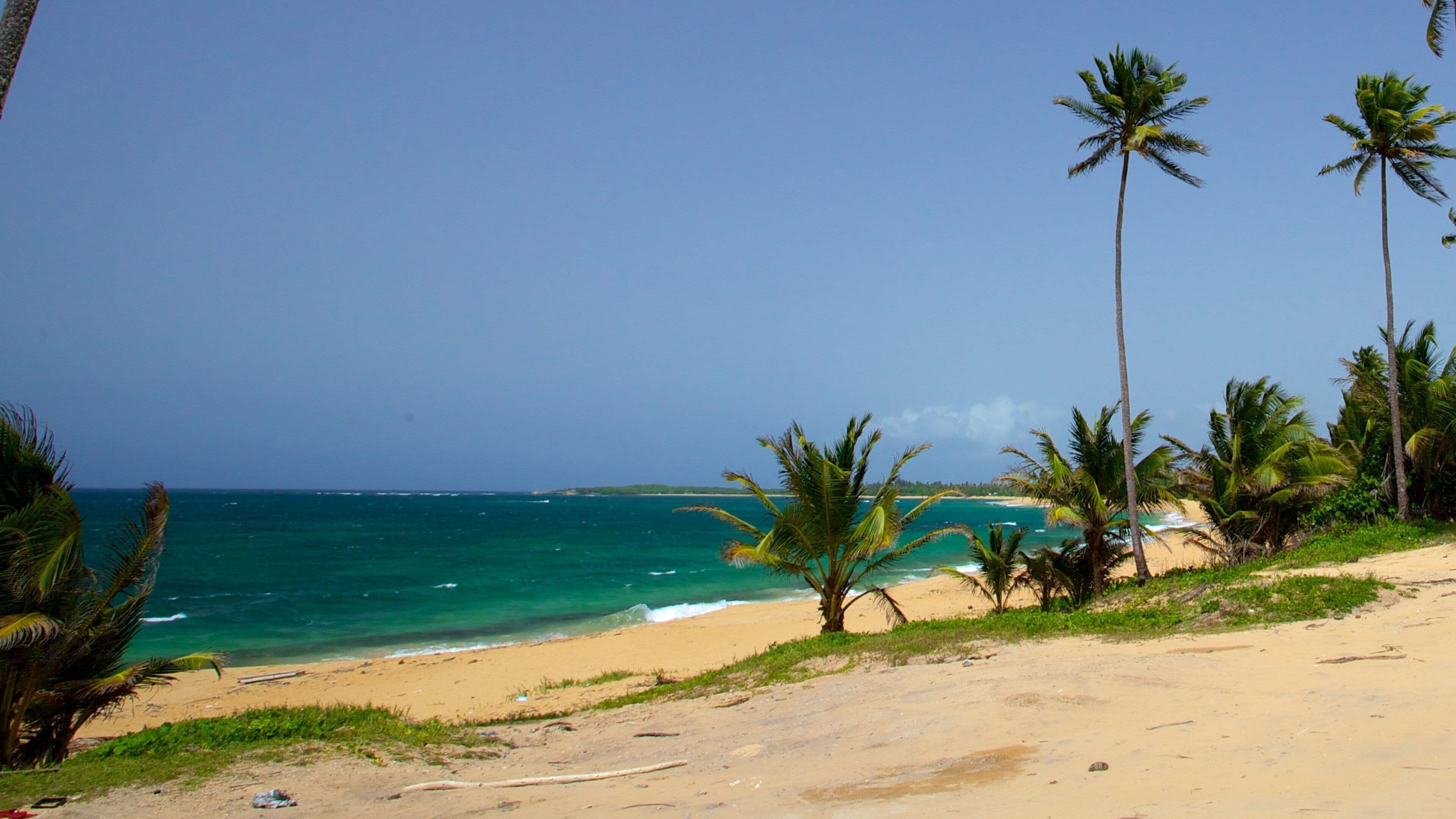 Pinones State Forest