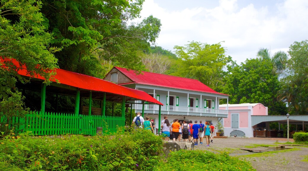 Hacienda Buena Vista ofreciendo una pequeña ciudad o pueblo y bosques y también un gran grupo de personas