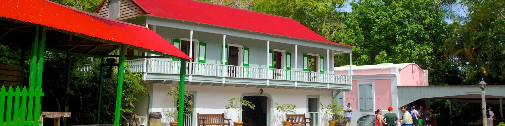 Hacienda Buena Vista ofreciendo escenas urbanas y una casa y también un pequeño grupo de personas