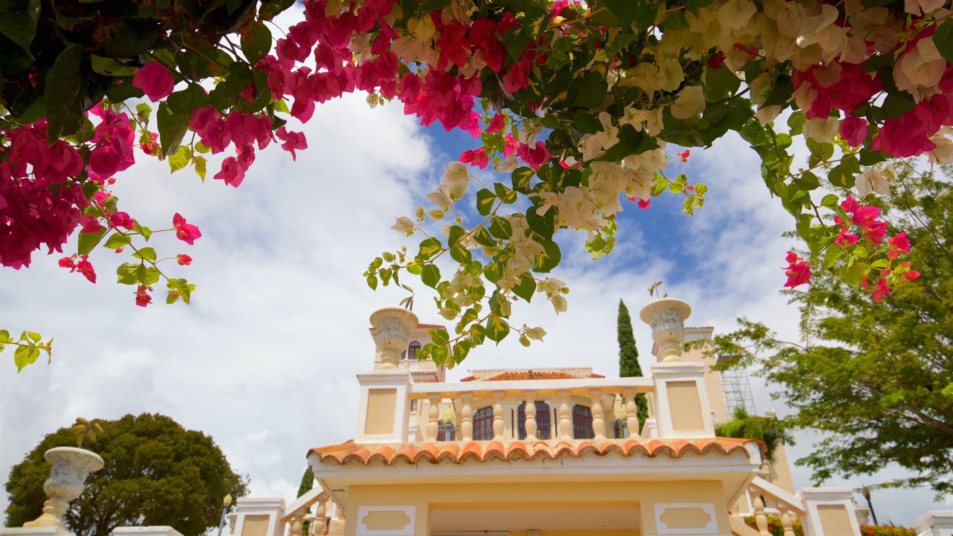 Castillo Serralles博物館