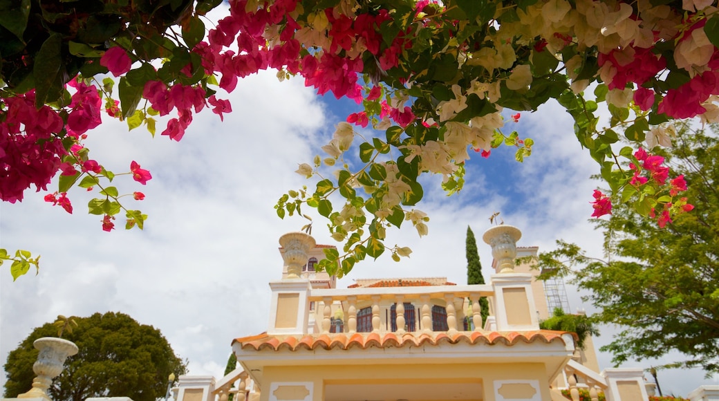 El Museo Castillo Serralles