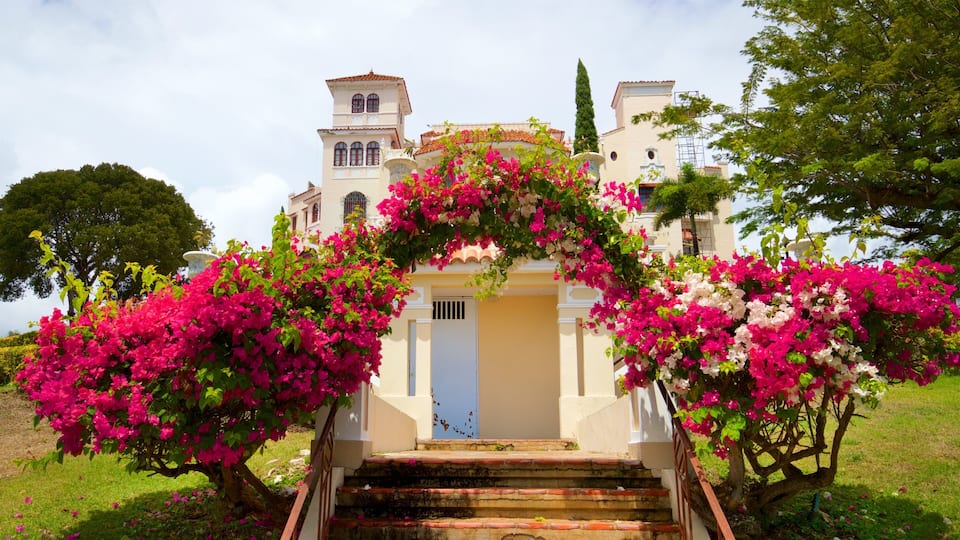 A historic building with a white facade, a bell tower, and a staircase adorned with pink bougainvillea flowers.