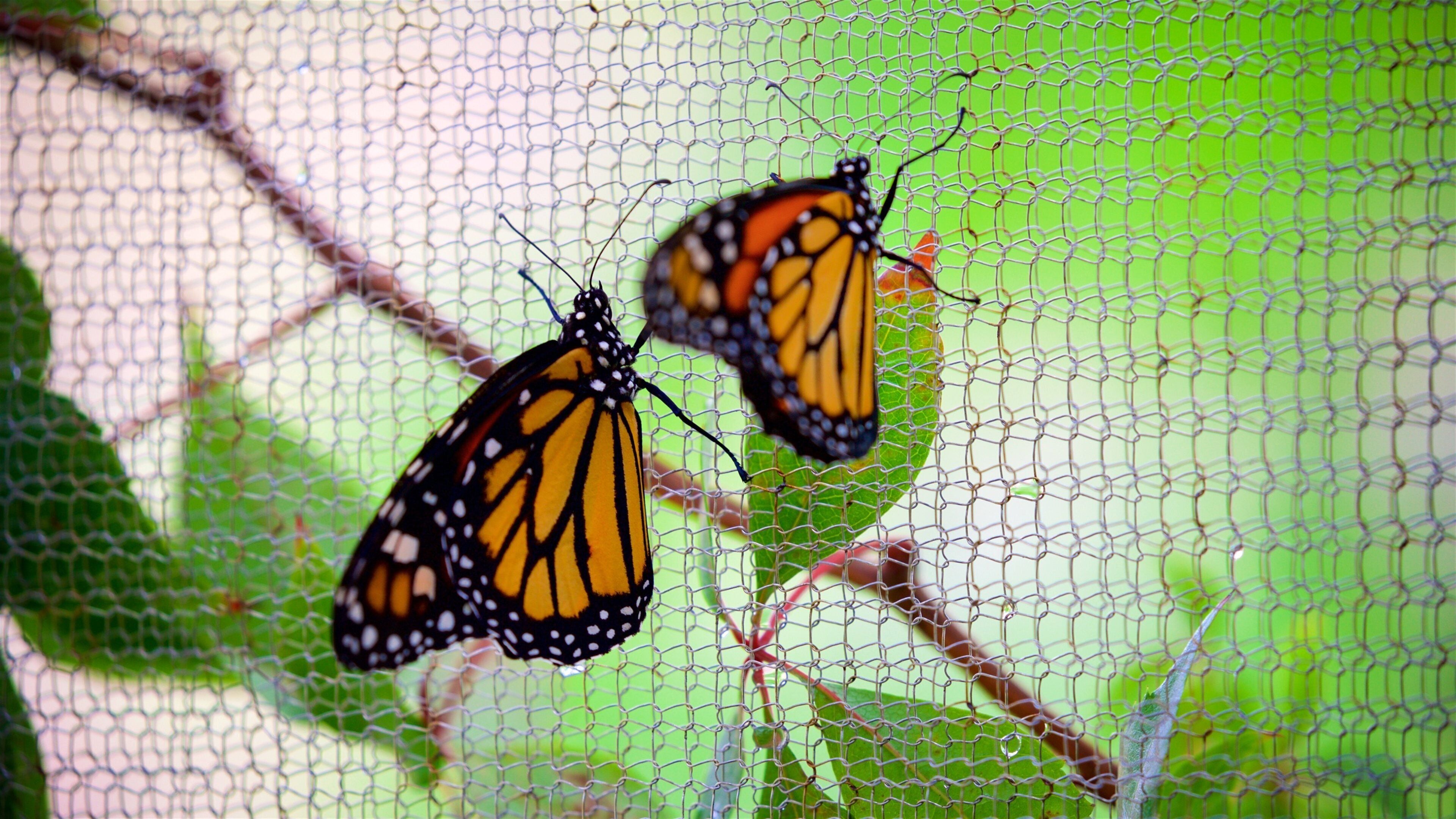 Museo Castillo Serralles