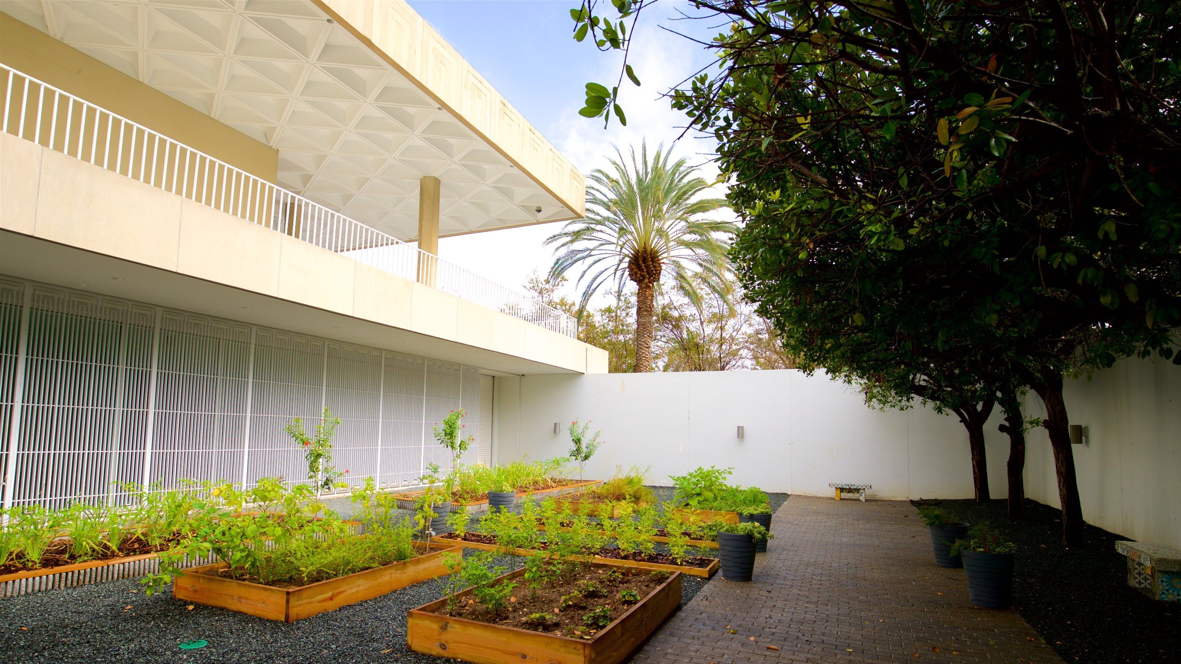 Museo de Arte de Ponce