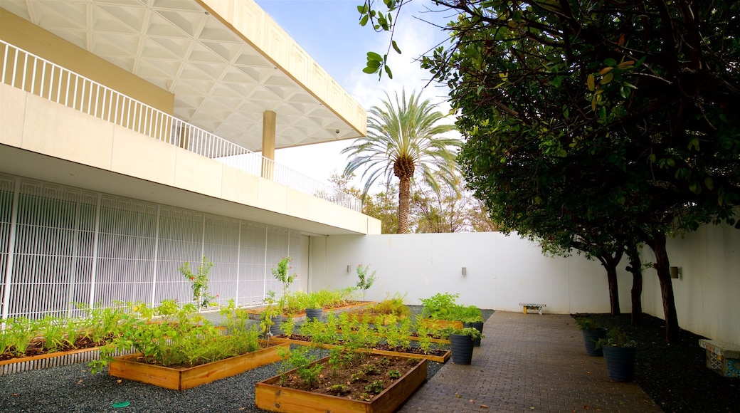 Museo de Arte de Ponce