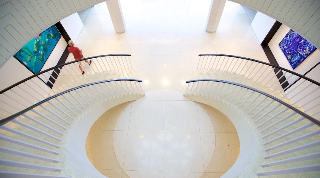 Museo de Arte de Ponce showing interior views and art as well as an individual male