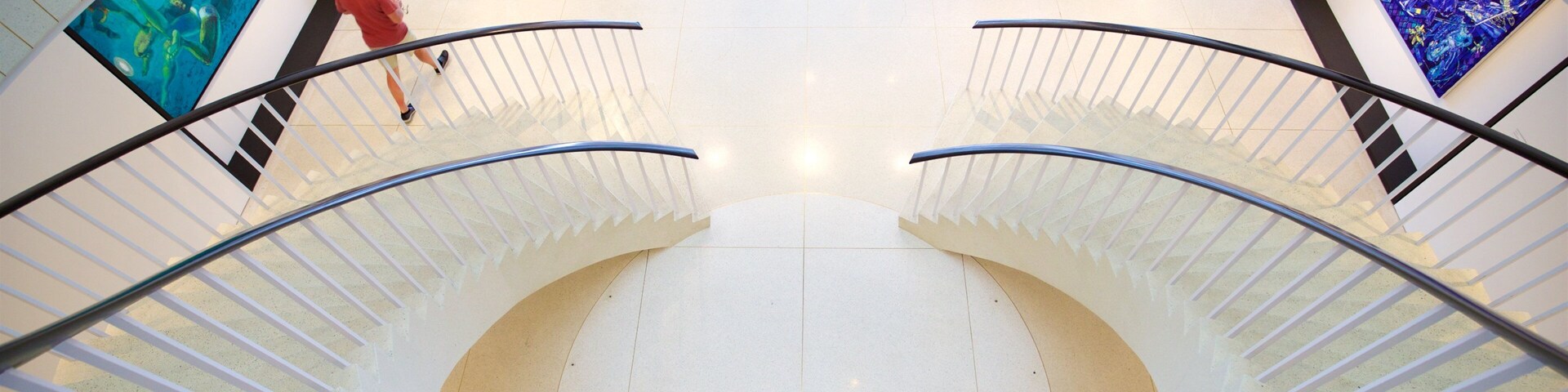 Museo de Arte de Ponce showing interior views and art as well as an individual male