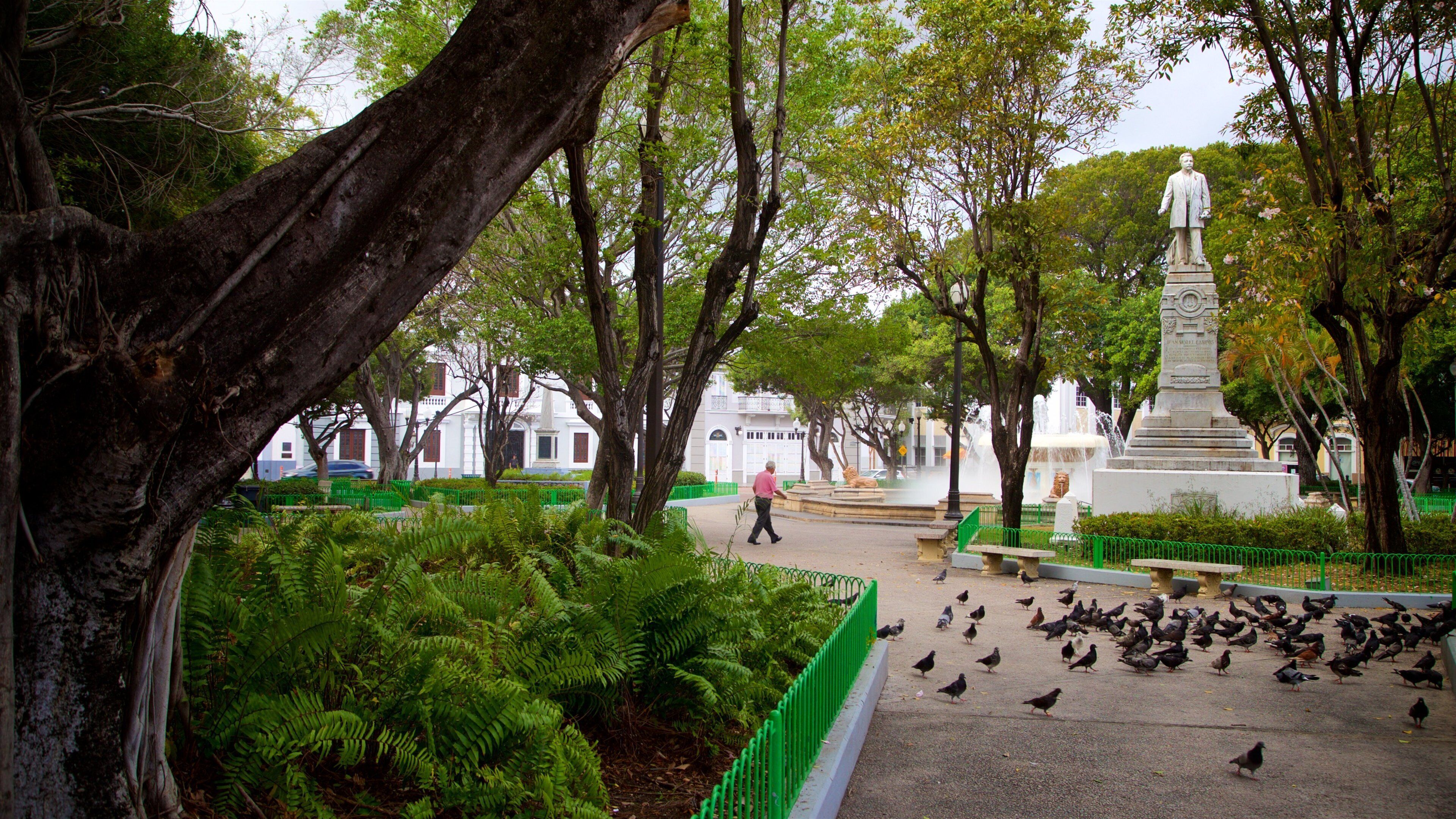 Plaza de las Delicias