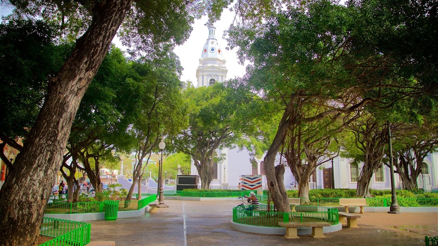 Plaza of Delights showing a park