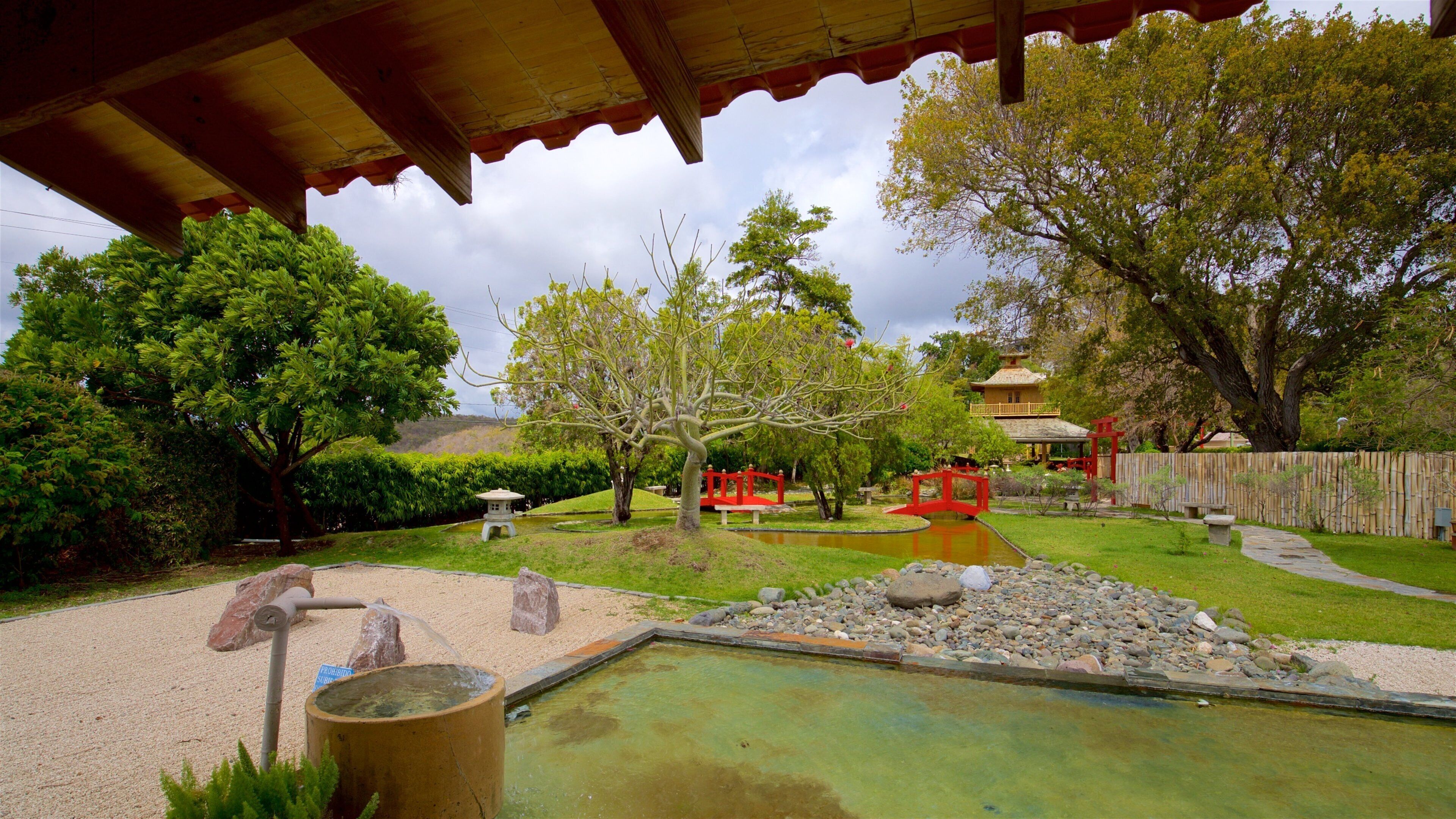 El Vigia Hill featuring a garden and a pond
