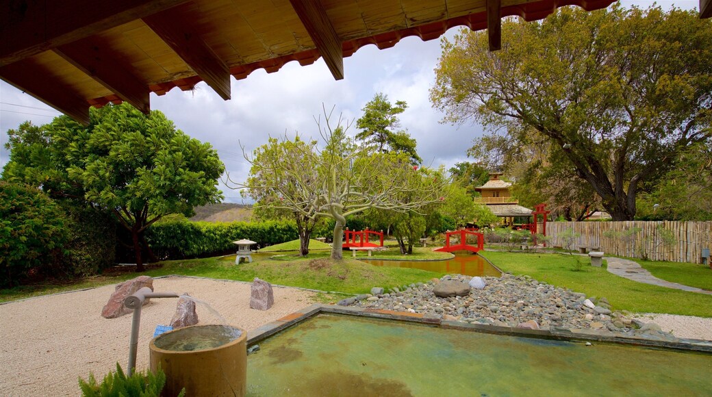 El Vigia Hill featuring a garden and a pond