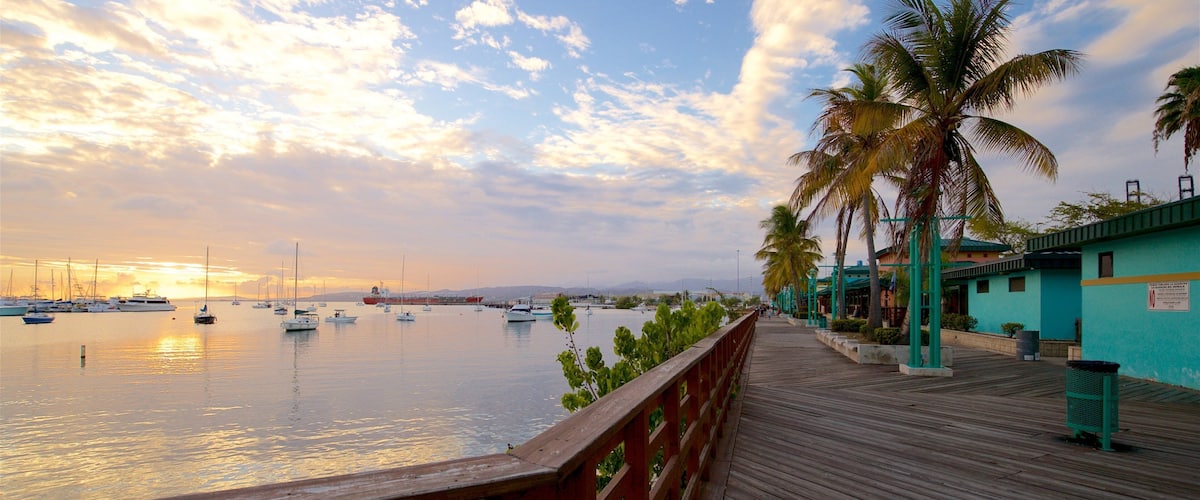 A wooden boardwalk with palm trees and a marina with boats.