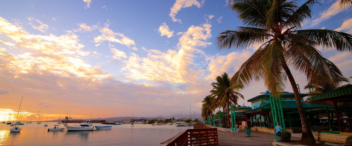 A wooden boardwalk with palm trees, a calm harbor with boats, and a sunset sky.