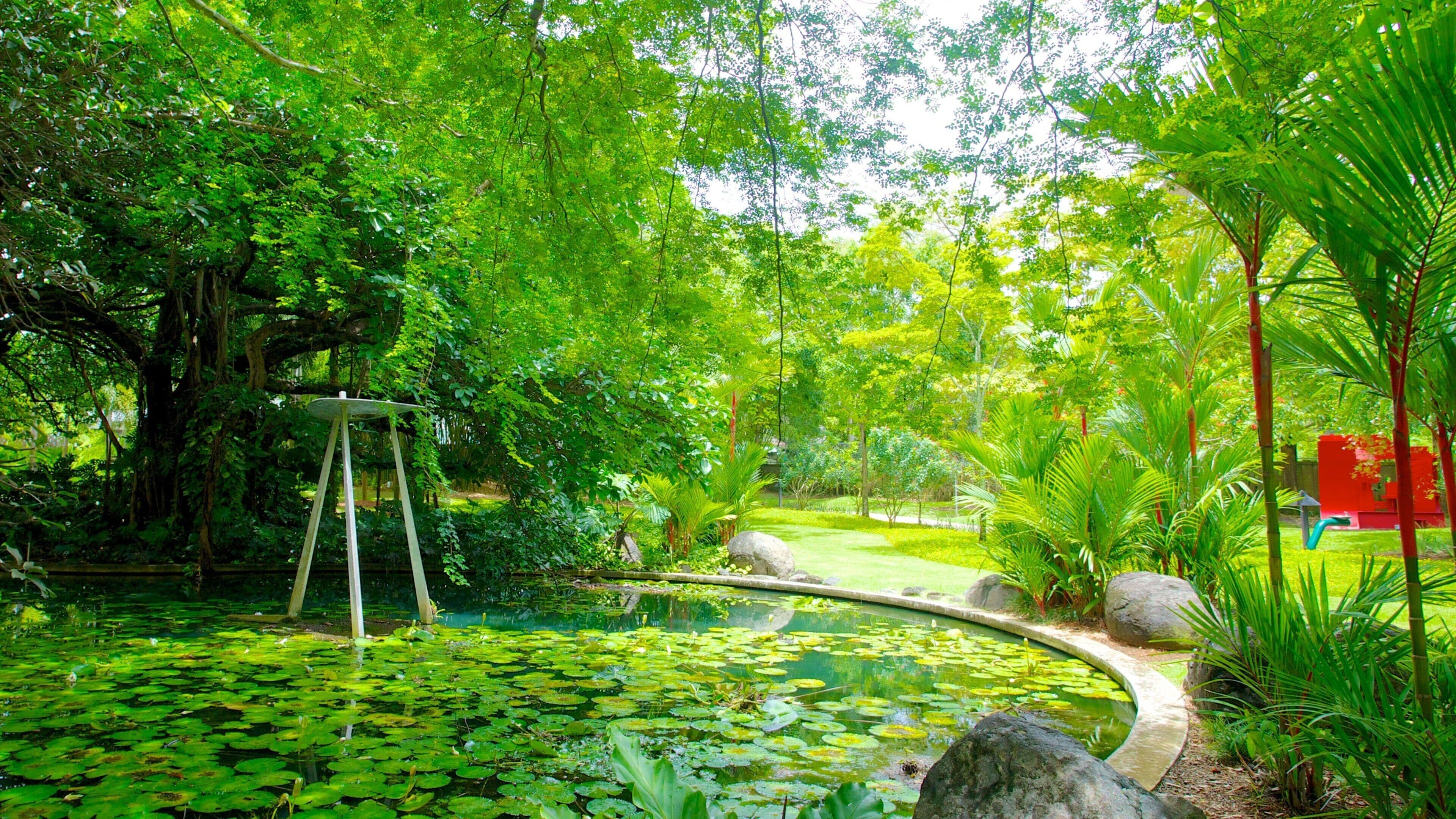 Museo de Arte de Porto Rico mettant en vedette mare, scènes tropicales et parc