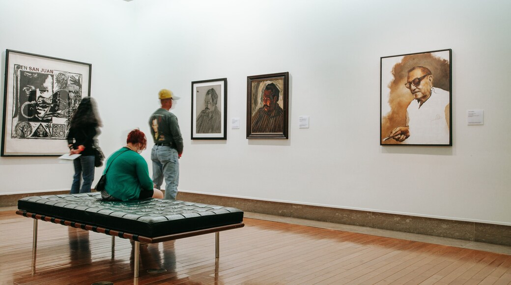 Museo de Arte de Puerto Rico featuring art and interior views