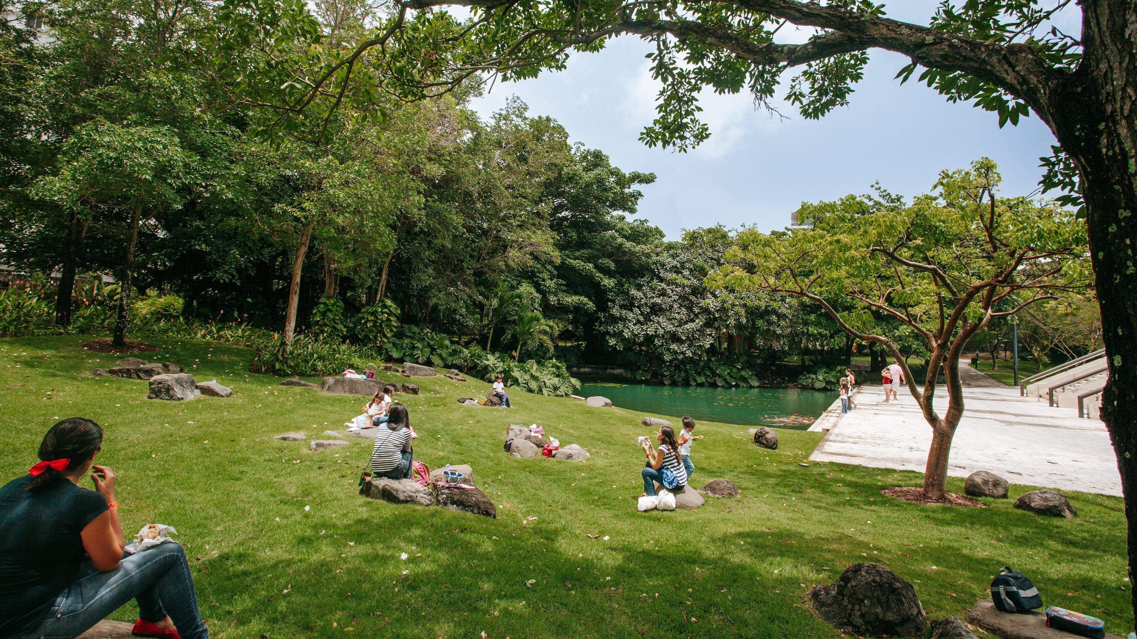 Museo de Arte de Puerto Rico which includes a park as well as a small group of people
