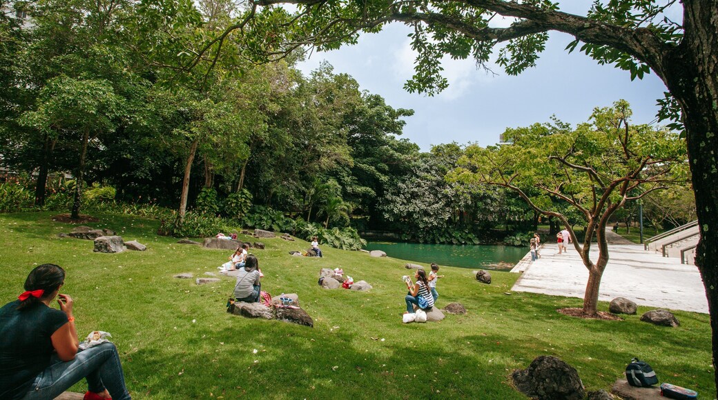 Museo de Arte de Puerto Rico which includes a park as well as a small group of people