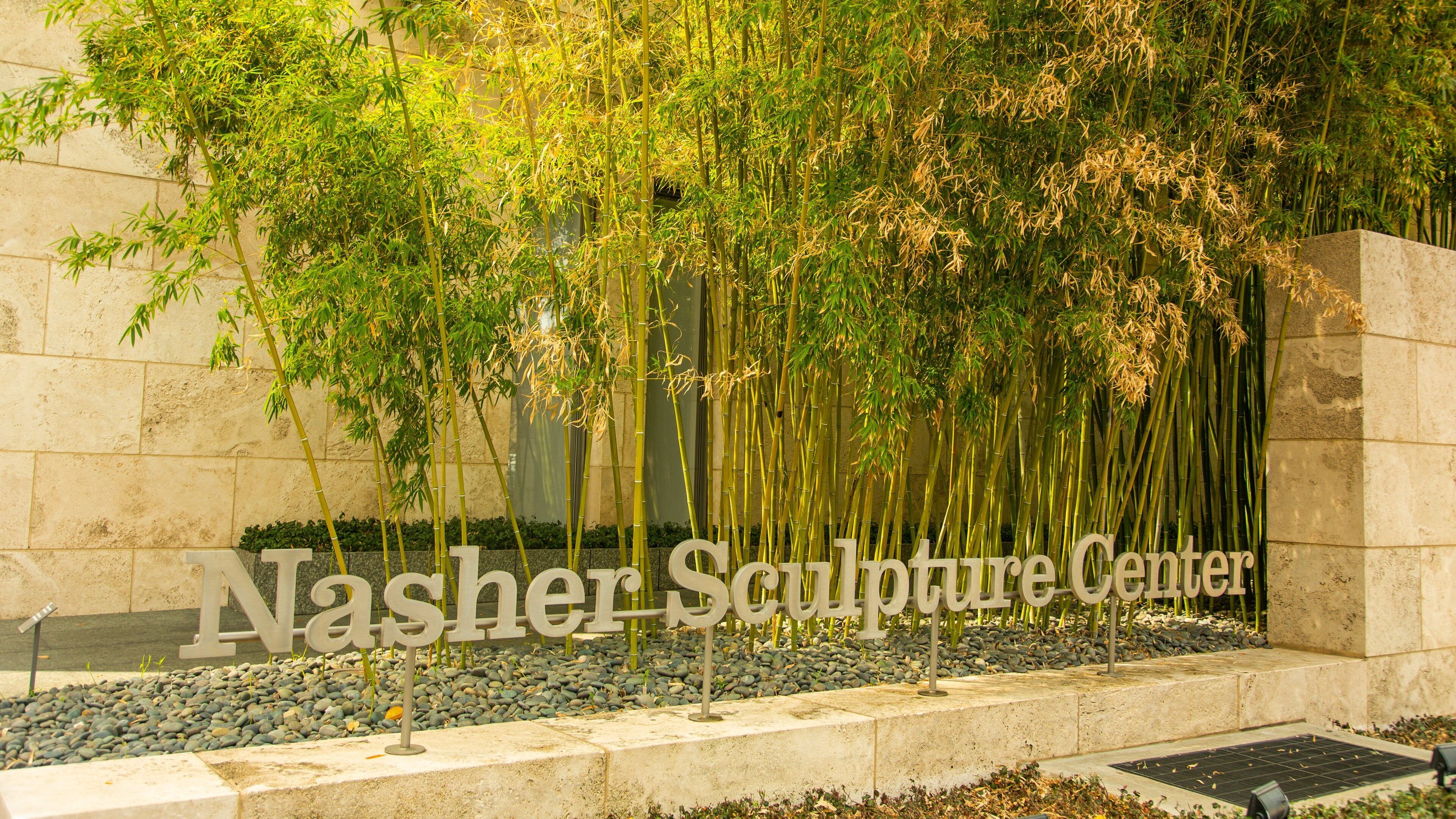 Nasher Sculpture Center