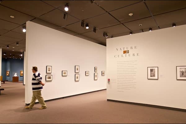 Amon Carter Museum which includes art and interior views as well as an individual male
