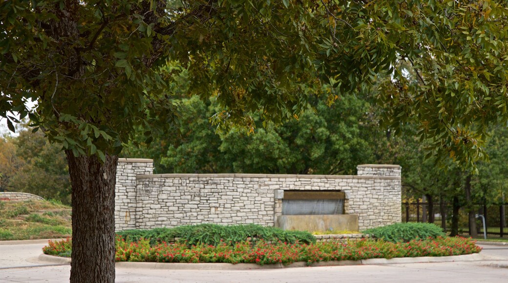 Fort Worth Botanic Garden som inkluderer villblomster og hage