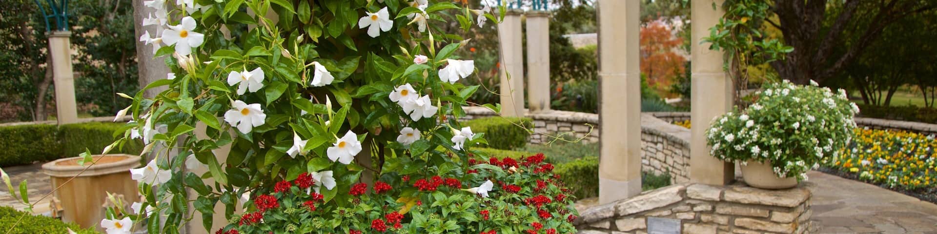 Fort Worth Botanic Garden que incluye flores y un jardín